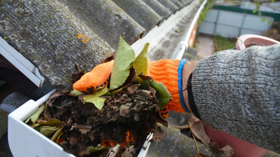 how to get insurance to pay for roof replacement - regular maintenance